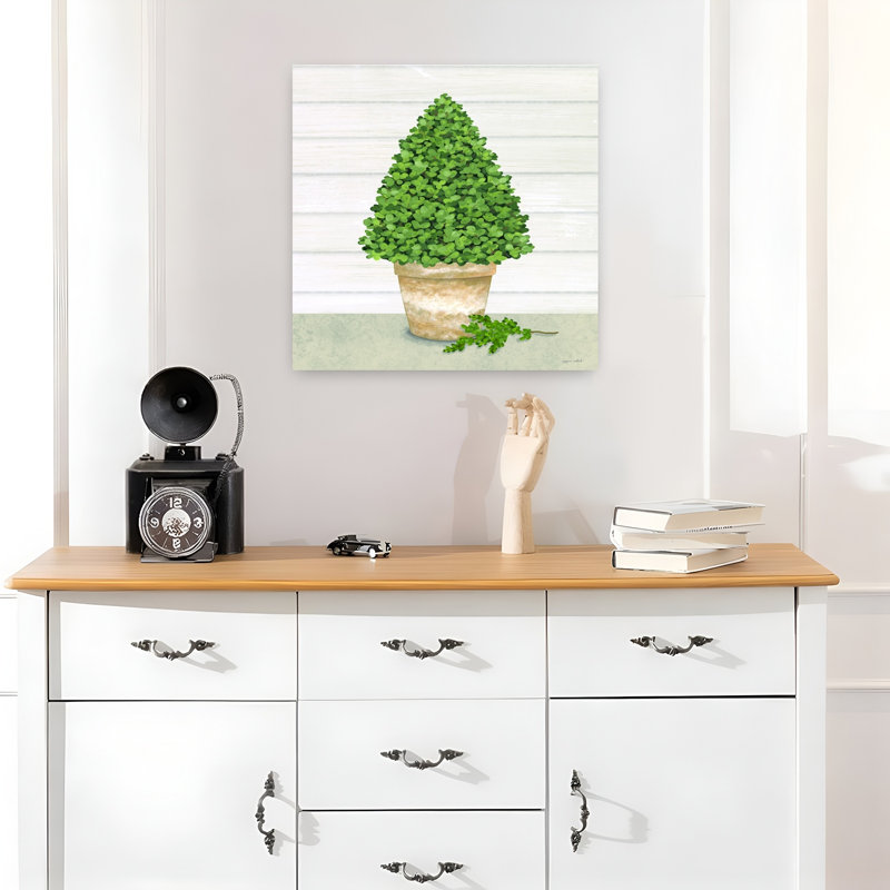 Arbre de buis en pot contemporain, H 18 po x l 18 po