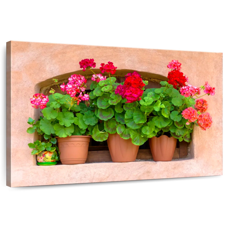 Harnek Potted Geraniums, 8" H x 12" W