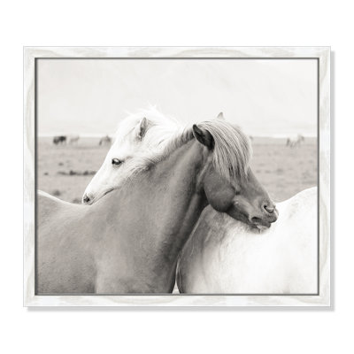 Melanie "Icelandic Meadow Horses" Print