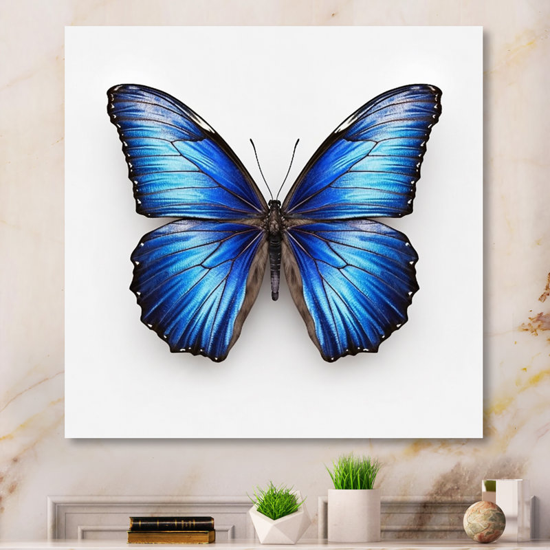 «Vibrant Blue Butterfly II» - art mural papillon, 16" H x 32" W, Toile tendue