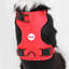 Harnais pour animal de compagnie Arlo-128618013-112400938