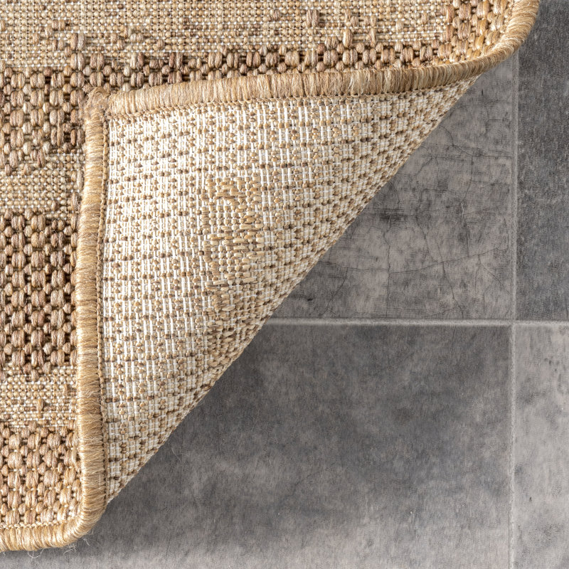 Tapis rayé intérieur / extérieur Zaniyah, Tapis de couloir 2 pi x 8 pi
