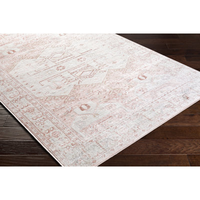 Southwestern Indoor Rug