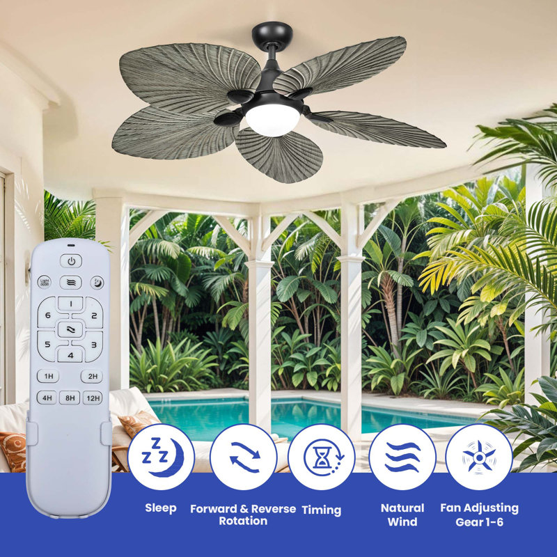 Atalay 52'' Ceiling Fan with LED Lights