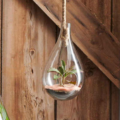 Terrarium en verre