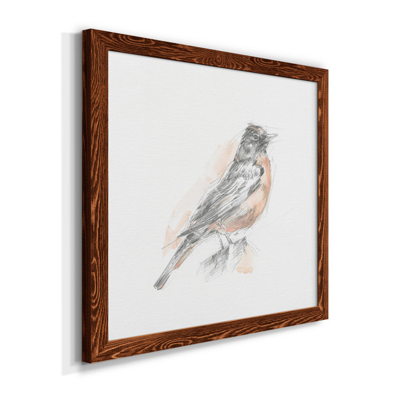 Robin des bois croquis I-Premium, toile encadrée - prête à être accrochée, H 31,5 po x l 31,5 po x P 1,5 po, Cadre en érable