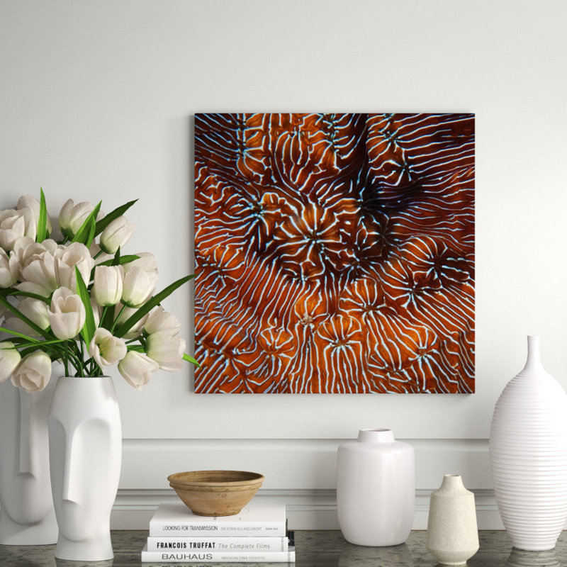 Underwater Beauty IX Print by Austin Beiv, 30" H x 30" W x 1.5" D, Outdoor