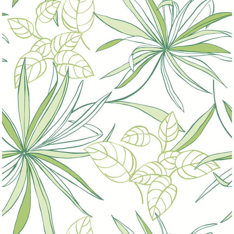 Rouleau de papier peint adhésif L 18 pi x l 20,5 po Bentli, Vert