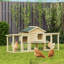 Rabbit, Chicken, Bird