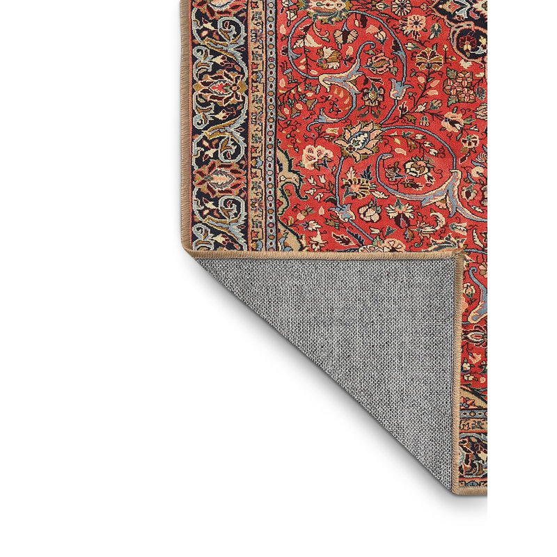 Catey Oriental Indoor Rug, Rectangle 5' x 8'