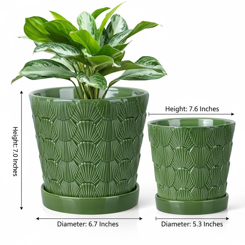 2-Piece White Ceramic Plant Pots (5+6 Inch, Drainage & Tray), Green
