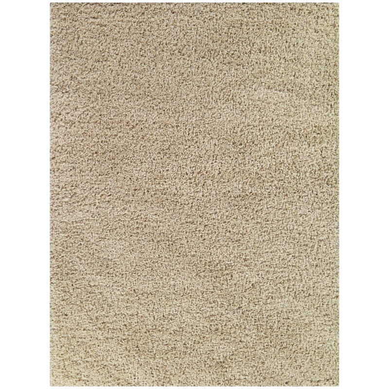 Tapis beige à poils longs Kenna, Rectangle 5 pi 3 po x 7 pi