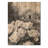 Monochrome Peonies At The Farm III - Peonies Wood Wall Art - On Natural Pine Wood-1413093735