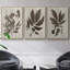 Arbor Speciment IV - ensemble de 3 reproductions de photos sur toile-97757447-97757448