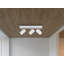 Sentell Spotlight-1544289419