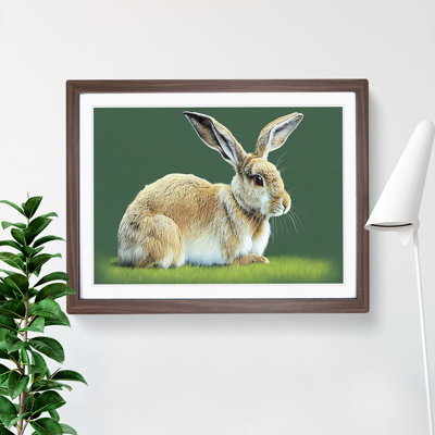 A Cute Rabbit - Framed Print