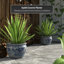 Ladies Chinese Porcelain Pot Planter-887247916