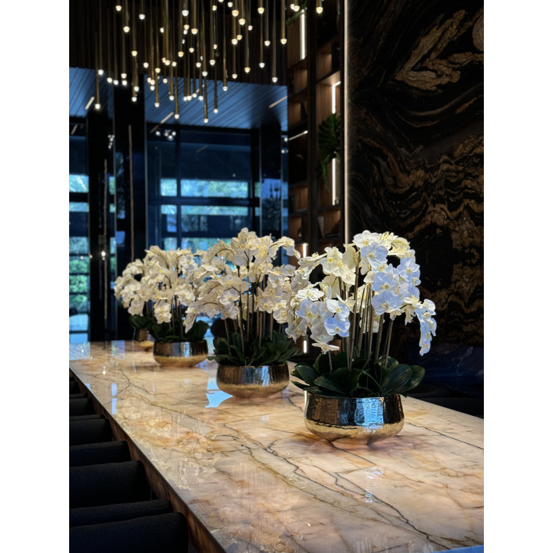 Roberi bowl with multiple stems of white Phalaenopsis orchids, 28" H x 18" W x 18" D, White