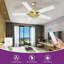 Mercer41 52" 5-Blade DC Motor Indoor/Outdoor Lightless Ceiling Fan With Remote Control-1500062125