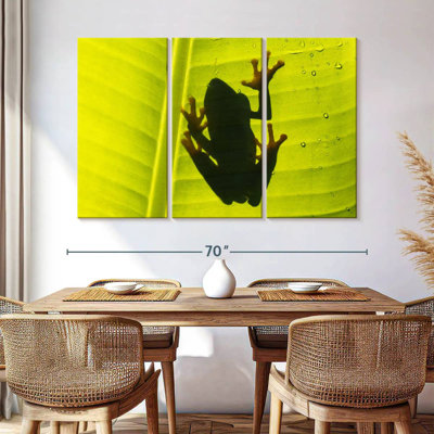Frog On Leaf