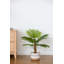 Palmier artificiel 31,5 "en pot