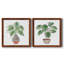 Boho Greenery I - ensemble de 2 peintures sur toile encadrées-1793192152-1793192157