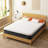 Alwyn Home Mattress Stijn Hybrid Mattress Firm Mattress Memory Foam Mattress in a Box Extra Support-2051818001-2054804510