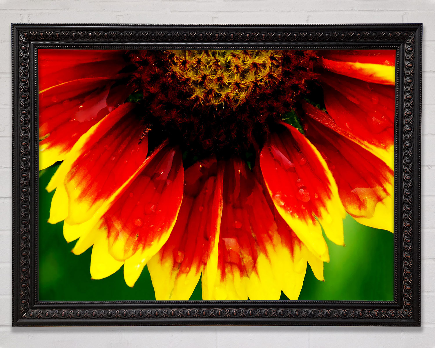 Bright Star Fire Petal Dewdrop - Single Picture Frame Art Prints ...