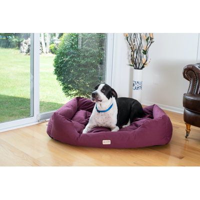 Panier de support pour chien