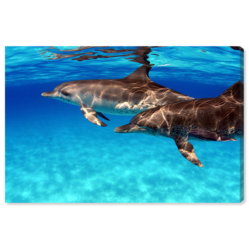 Reproduction de photo sur toile "Atlantic Spotted Dolphin" par David Fleetham, H 16 po x l 24 po x P 1,5 po