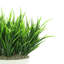 13" Artificial Grass in Planter