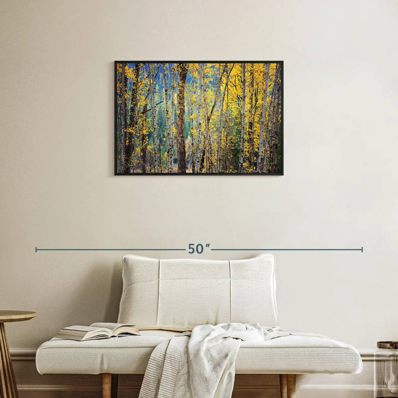 Kootenay Fall II, Cadre flottant noir, 31 po x 21 po