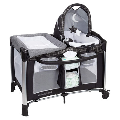 Phoenix Bassinet with Mattress