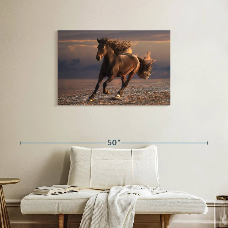 Cheval de plage Brampt, H 24 po x l 36 po