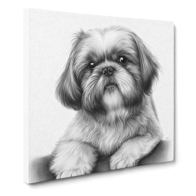 Shih Tzu - No Frame Print, 50cm H x 50cm W x 3cm D