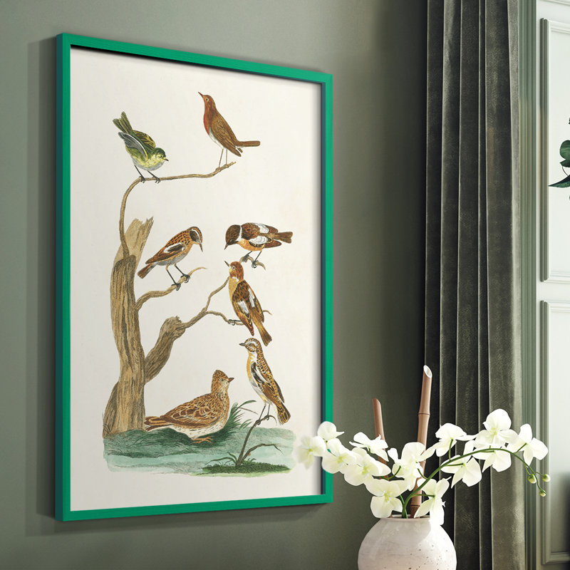 «Antique Birds in Nature III», reproduction encadrée - bois massif, Vert, H 10 po x l 8 po