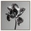 Tidal Wilt III Floral & Botanical Canvas Print by Oliver Gal, Black Frame, 12 x 12-677993332-677993337