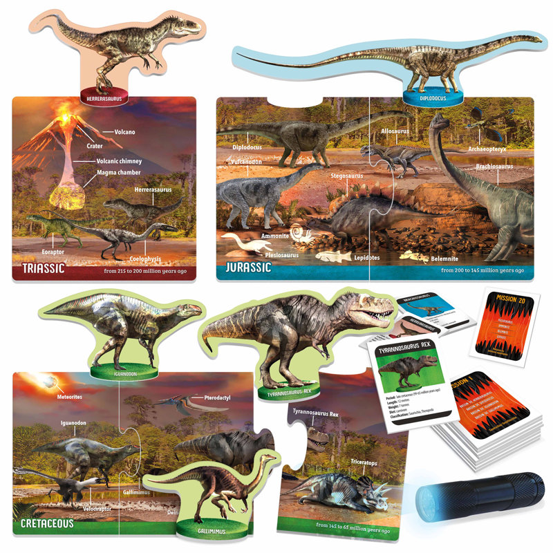 Dinosaures sous rayons X