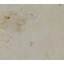 Jura 18" x 18" Limestone Stone Look Wall & Floor Tile