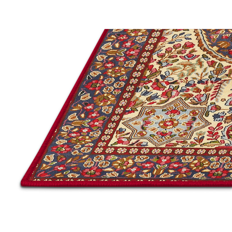 Cigdem Oriental Indoor Rug, Rectangle 3' x 5'