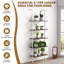 Ludwicka 5 Piece Tiered Shelf-572344546