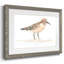 Pretty Piper III-1045323361-1045323362