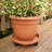Ketzaly Pot Planter-1368620224-1368620232