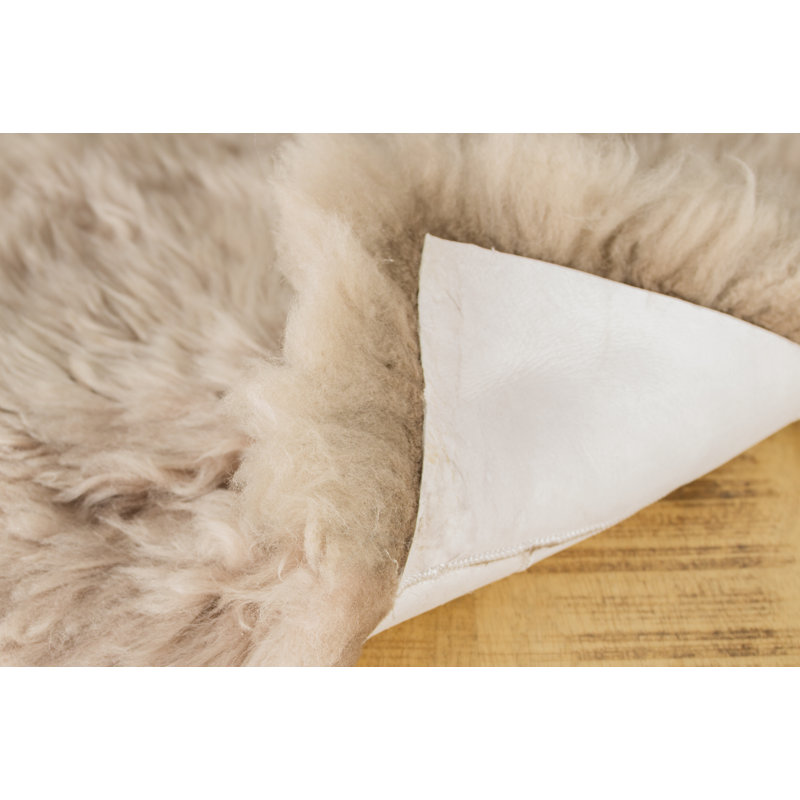 Coussin de chaise en laine de mouton de Nouvelle-Zélande , 1, Taupe, 17 po x 17 po