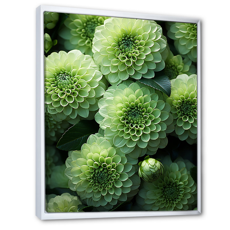 Zinnias vert crépuscule I, H 32 po x l 24 po x P 1 po, Cadre flottant blanc