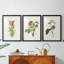 «Pretty Pink Botanicals IV», reproduction encadrée sur mesure de qualité supérieure - 3 pièces-1577315009-1577315008