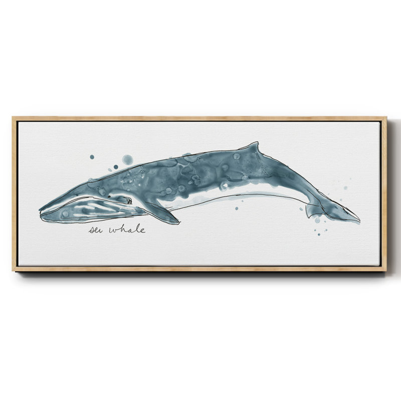 Whale I- Framed Canvas