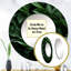 Palmier tropical tropical - I-99624139