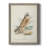 " Hawk Owl " Painting-244512998-244512993