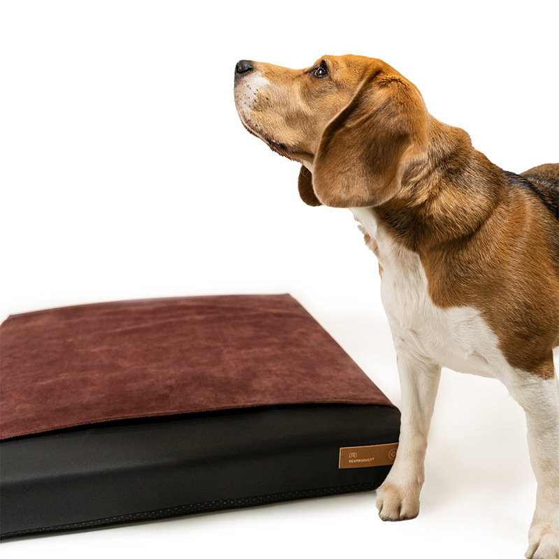 Orthopedic Polyester Pet Bed, 8cm H x 60cm W x 70cm D, Red